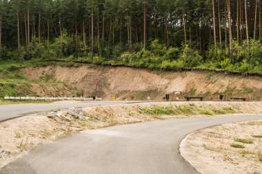 Ormanın ortasındaki bir eğitim sahasında biatletlerin yaz eğitimleri için hazırlanan yol açık alanda, Altai, Belokurikha, biatlon spor üssü.