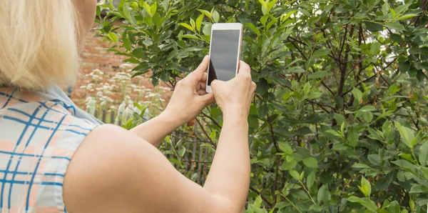 Žena Fotí Mobilním Telefonem Fotí Rostliny Stromy Venkovní Zahradě Stock Snímky