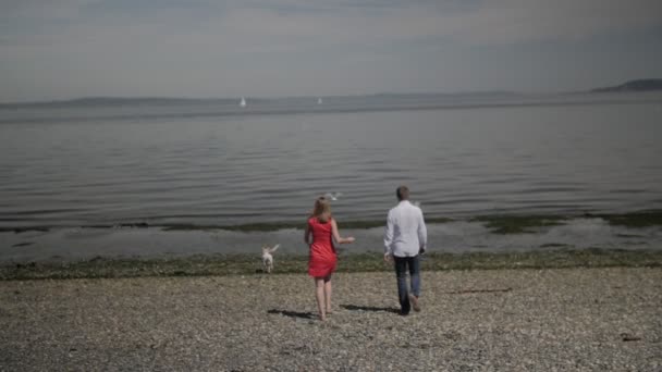 Par och hund promenad på stranden — Stockvideo