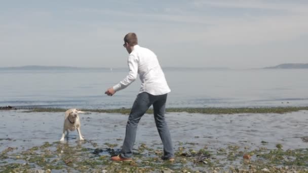 Mannen och hans hund som leker i havet — Stockvideo