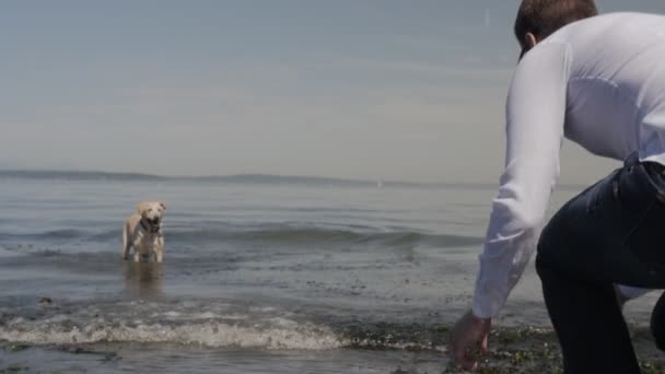 Hombre y su perro jugando en el océano — Vídeos de Stock