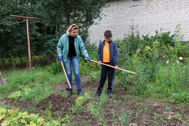 Kadın ve çocuk salatalık sarmaşıklarının arasında oturur yaprakları ve meyveleri yakından incelerler..