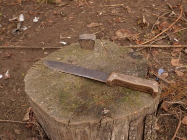 Plastik saplı eski mutfak bıçağı toprak ve yaprakların arasında bir kütükte yatıyor.