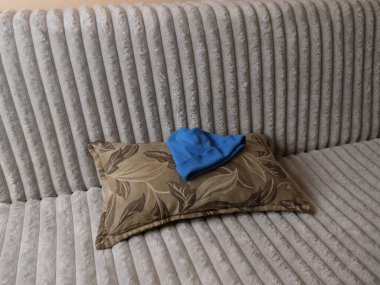 Mavi örülü bere kanepedeki dekoratif yastıkta yatıyor, rahat bir ev, sakin bir hayat..