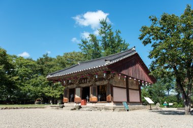 Gyeongju, Güney Kore - 18 Ağustos 2016: Taş Pagoda Bunhwangsa tapınak Silla dönemde yapıldı