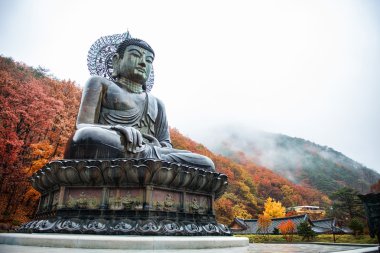 Big Buddha Monument of Sinheungsa Temple in Seoraksan National Park clipart