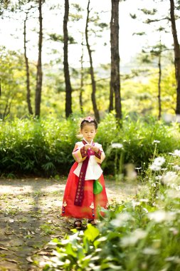 Çiçek Bahçesi geleneksel bir Hanbok giyen Koreli çocuk