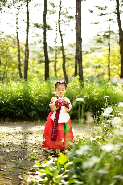 Criança coreana vestindo um Hanbok tradicional, jardim de flores — Fotografia de Stock