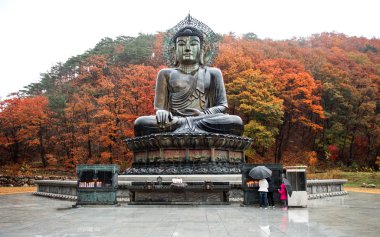 Sinheungsa Tapınağı Seoraksan Milli Parkı'nda büyük Buda Anıtı