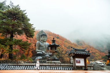 Seoraksan Milli Parkı Sokcho tapınakta Sinheungsa büyük Buda Anıtı