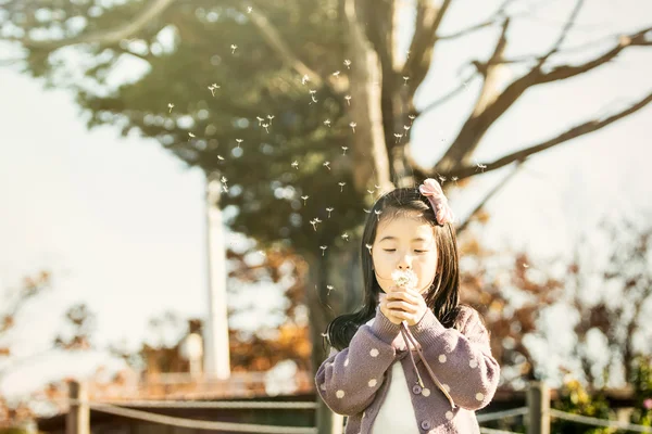 Ásia, a criança que sopra um dente-de-leão em um parque . — Fotografia de Stock