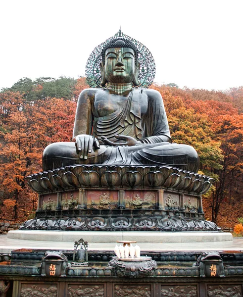 Sinheungsa 설악산 국립 공원에서의 큰 부처님 기념물 — 스톡 사진