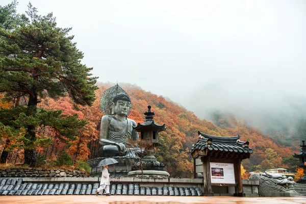 속초 설악산 국립 공원에서에서 Sinheungsa의 큰 부처님 기념물 — 스톡 사진
