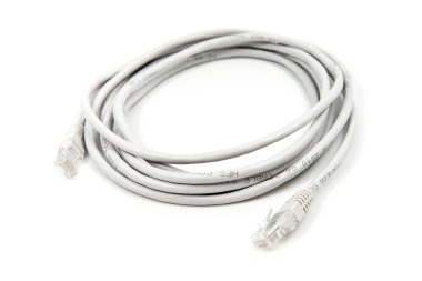 Beyaz arka plan üzerinde LAN kablosu