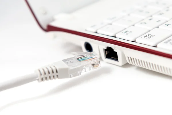 LAN cable is connecting internet to laptop — Stock Photo, Image