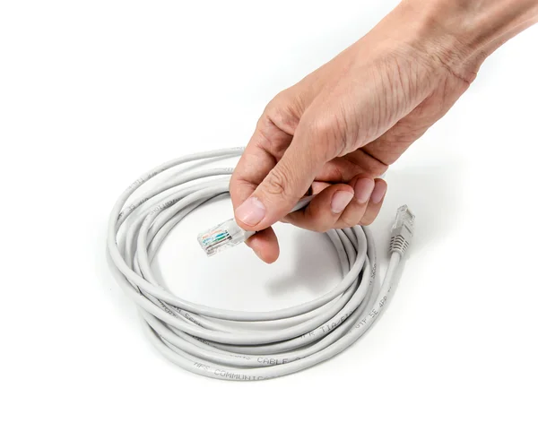 Ready-made LAN cable on IT professional hand. — Stock Photo, Image