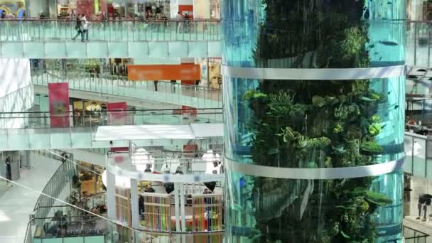 Centro commerciale con un grande acquario all'interno — Video Stock