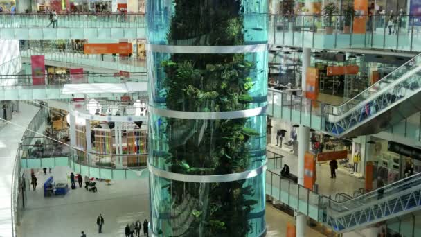 Centro comercial con un gran acuario en el interior — Vídeo de stock