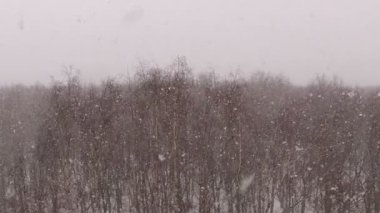 Kış ormanda kar taneleri Jakuzziler