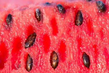 Yakın çekim, kırmızı karpuz