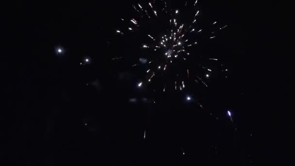Фейерверк ночью — стоковое видео