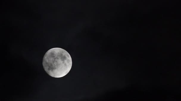 Full moon with clouds — Stock Video