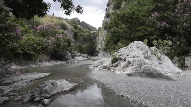 Gorge de rivière Naturel 