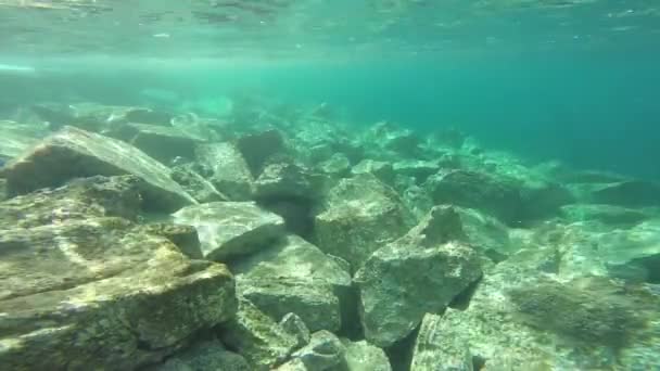 Panoramica subacquea in mare — Video Stock
