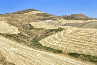 Sıcak çöl, Sicilya ve boş alanları
