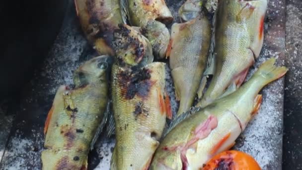 Cocinar pescado en la parrilla — Vídeos de Stock