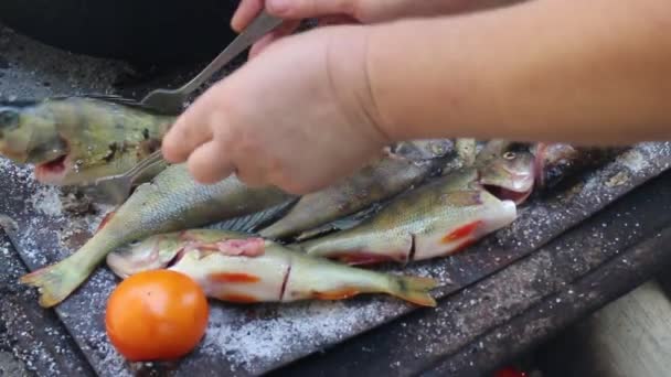 Koken vis op de grill — Stockvideo