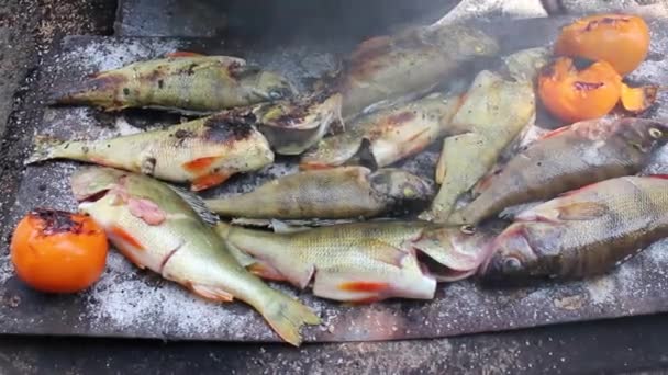 Cocinar pescado en la parrilla — Vídeo de stock