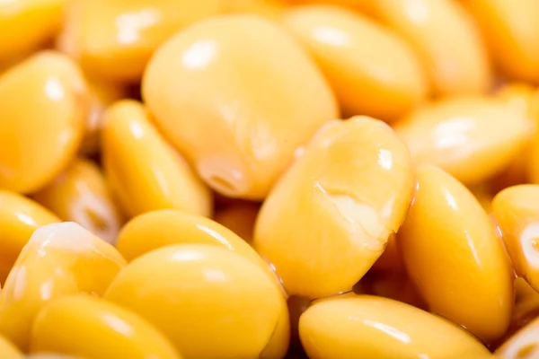 Taze baklagiller lupins, makro