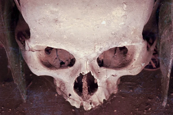 Crânio do cemitério em Nápoles - Itália — Fotografia de Stock