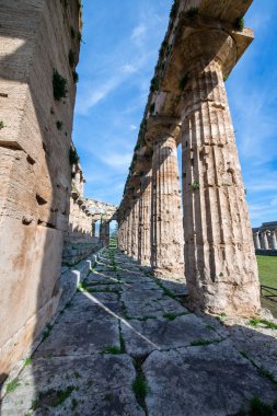 Paestum Tapınağı - Salerno - İtalya