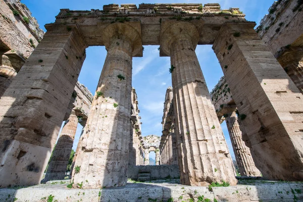 Paestum Tapınağı - Salerno - İtalya — Stok fotoğraf