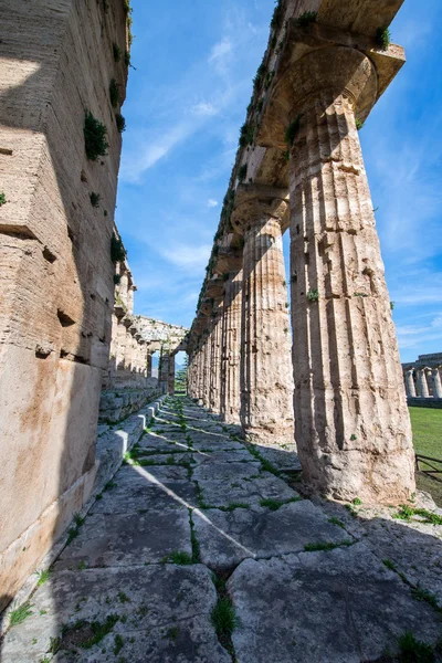Chrám Paestum - Salerno - Itálie — Stock fotografie