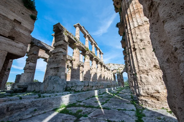 Tempel av Paestum - Salerno - Italien — Stockfoto