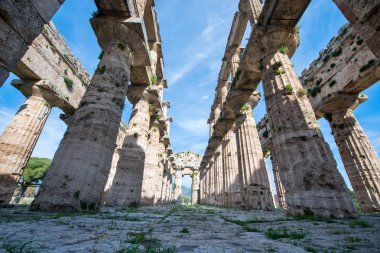Paestum Tapınağı - Salerno - İtalya