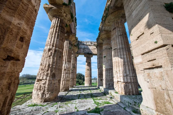 Templo de Paestum - Salerno - itália — Fotografia de Stock