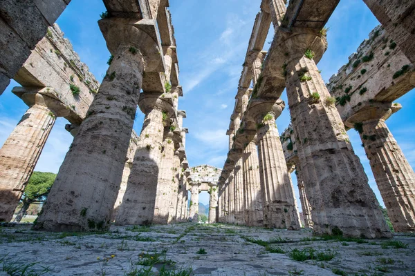 Tempel av Paestum - Salerno - Italien — Stockfoto