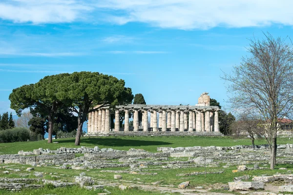 Tempel van Paestum - Salerno - italy — Stockfoto