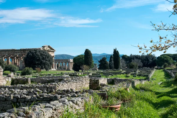 Tempel van Paestum - Salerno - italy — Stockfoto