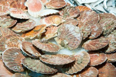 Fistolar Balık Market