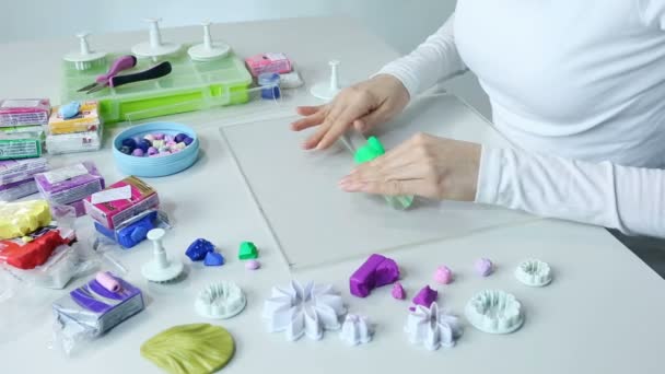 Kunstenaar maakt sieraden van polymeerklei, proces. Workshop — Stockvideo