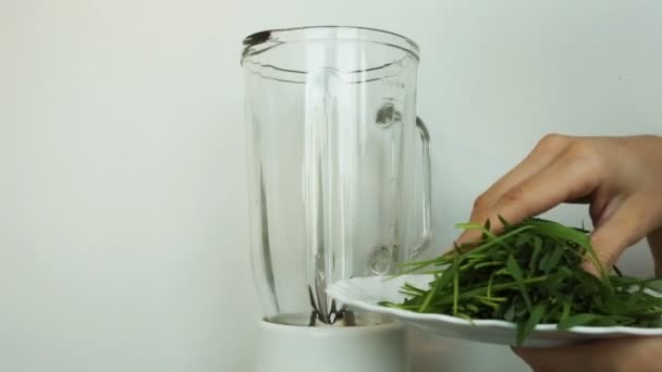 Wheat Green Seeds in blender (mixer), a Raw Food Diet. Healthy Vegetarian Food concept: Germination of Wheat at home, Growing. Put in Blender — Stock videók