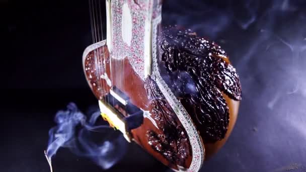 Sitar, um instrumento musical indiano tradicional de cordas — Vídeo de Stock