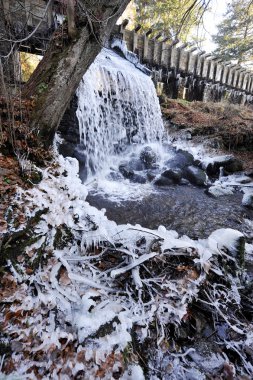 First frost in Sumava mountains, Czech republic clipart