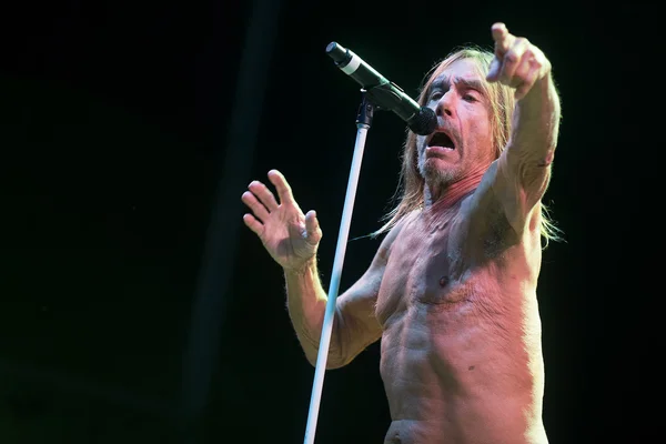 Cantante Iggy Pop — Foto de Stock