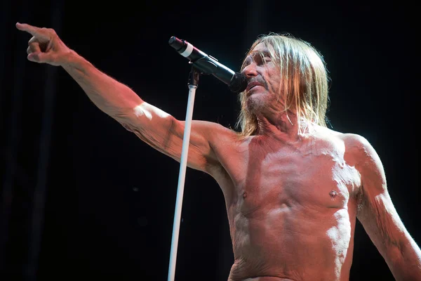 Cantante Iggy Pop — Foto de Stock